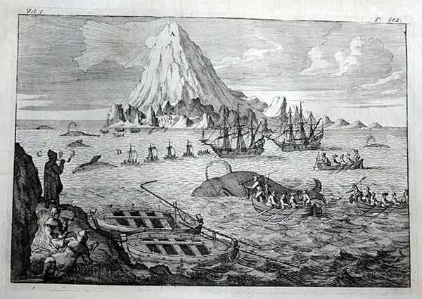 600x425 Whales,porpoises,dolphinsheatons Animals - Whale Hunting Painting