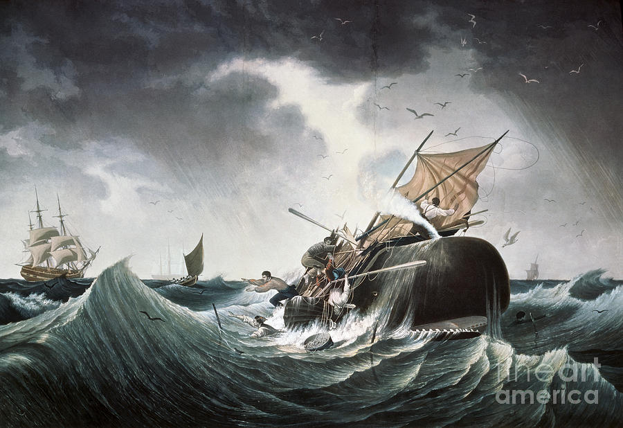 900x618 Whaling Ship Paintings Fine Art America - Whale Hunting Painting