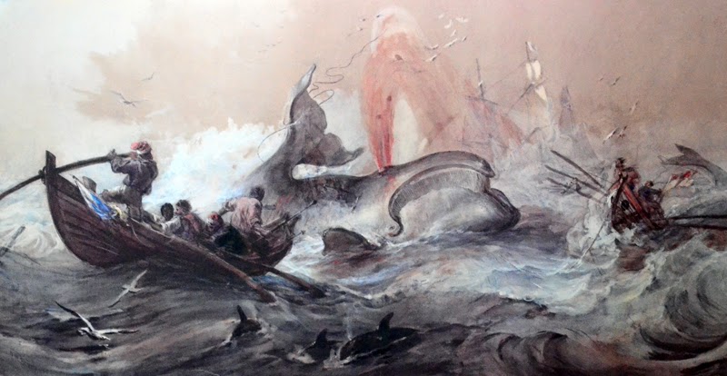 800x414 Baleen Whales Not A Fish - Whale Hunting Painting