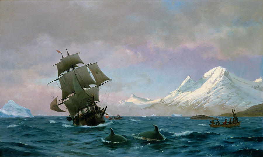 900x538 Catching Whales Painting By J E Carl Rasmussen - Whale Hunting Painting