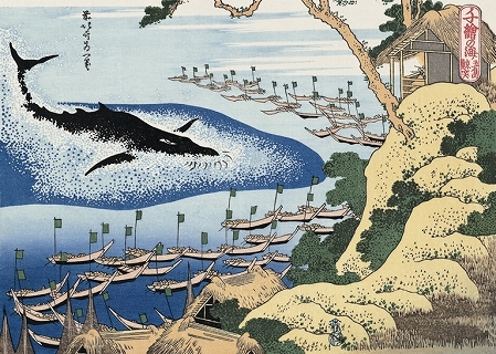 449x320 Killing Practice Of Whale Hunting Is Same As Killing - Whale Hunting Painting