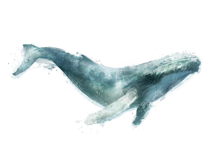 900x681 Humpback Whale Painting By Amy Hamilton - Whale Painting