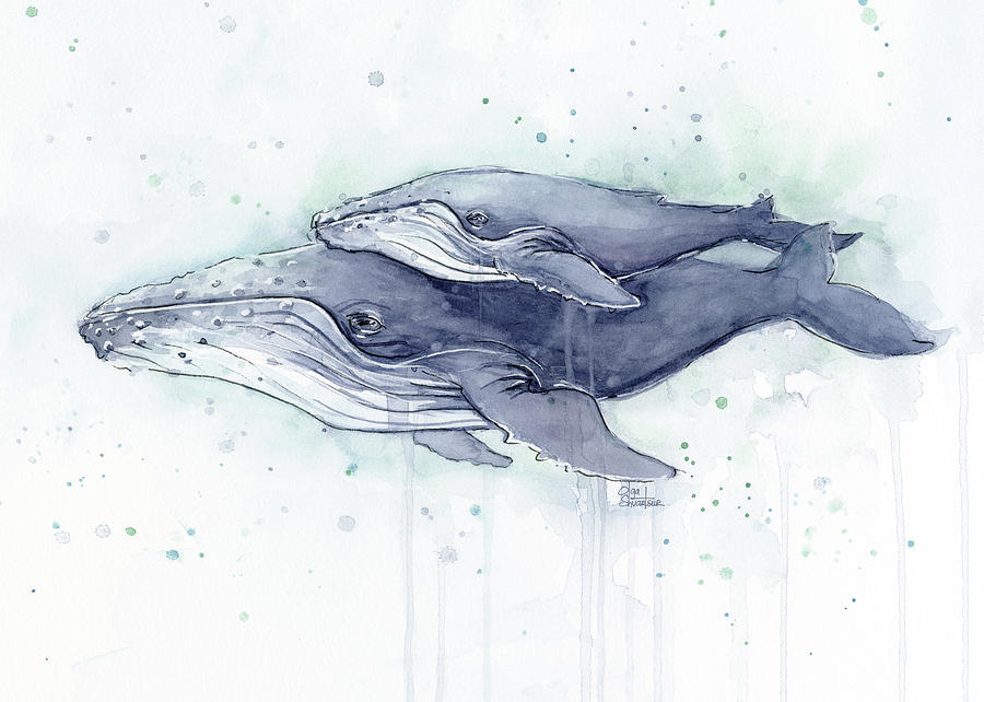 900x642 Humpback Whales Painting Watercolor - Whale Painting