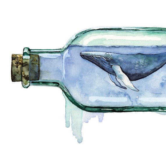 570x502 Watercolor Painting, Whale Painting, Whale Art, Whale In Bottle - Whale Painting