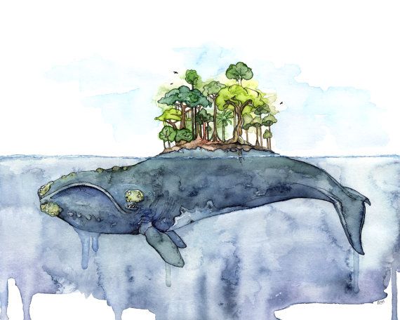 570x456 Whale Painting, Watercolor Painting, Whale Island, Whale Art - Whale Painting