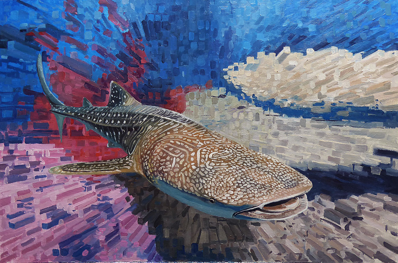 1300x859 Whale Shark - Whale Shark Painting