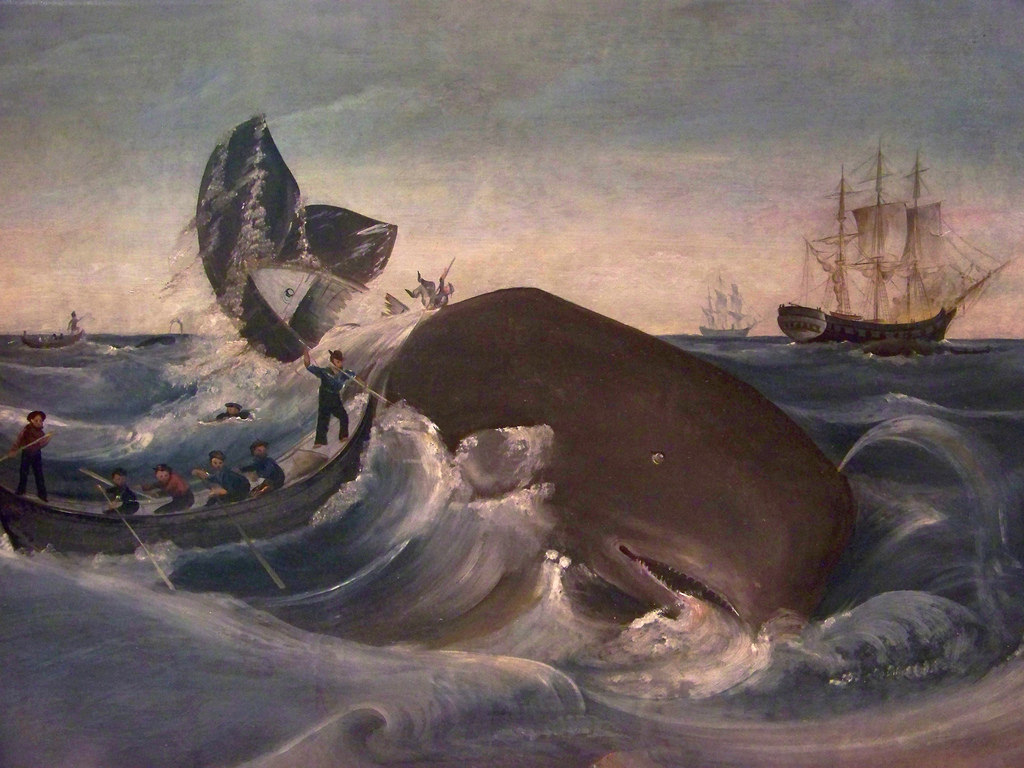 1024x768 Capturing A Sperm Whale The Most Dangerous Part - Whale Ship Painting