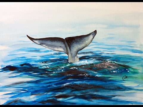 480x360 Watercolor Whale's Tail Painting Demonstration - Whale Tail Painting