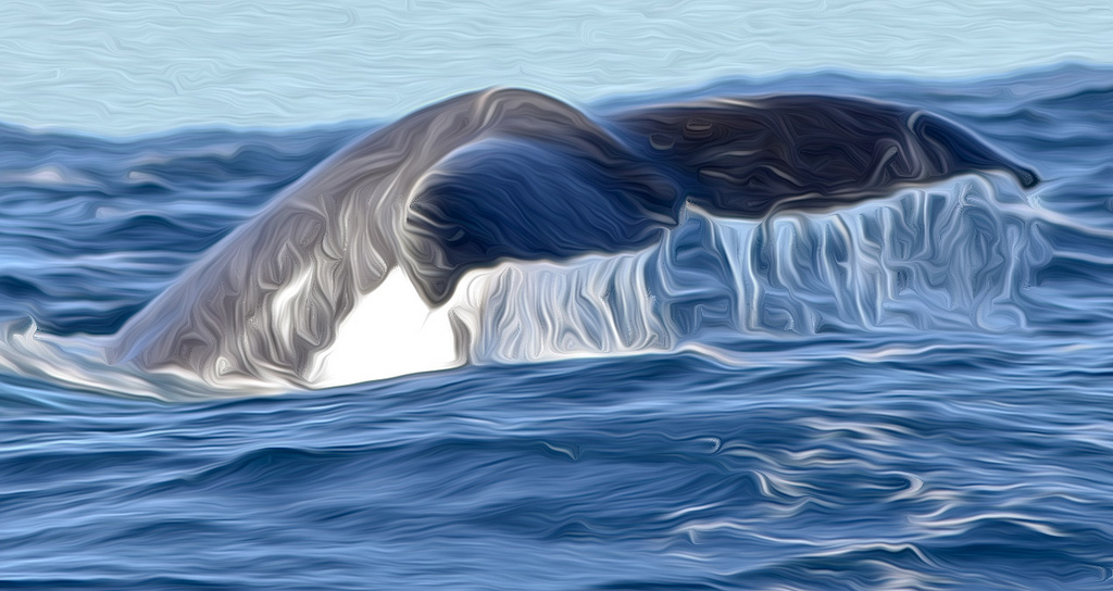 1024x544 Whale Tail Painted Denis Hooper - Whale Tail Painting