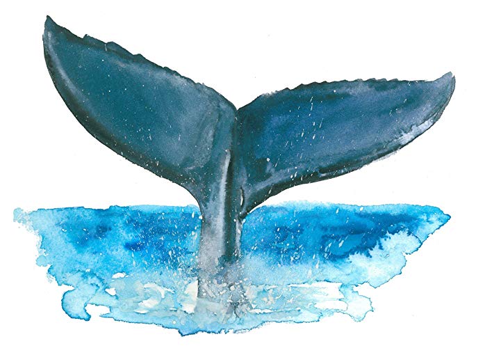 695x500 Whale Tail Art Print (8x10). - Whale Tail Painting
