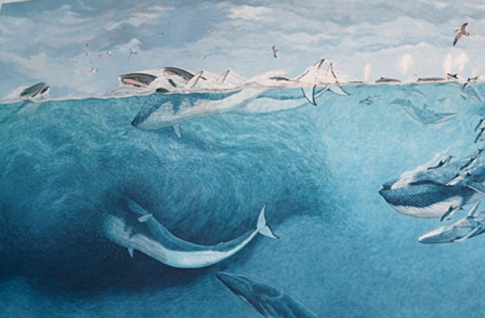 699x459 Visit Our Whale Museum Mics - Whale Under Boat Painting