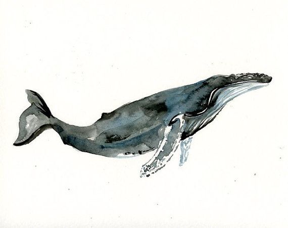 570x452 Humpback Whale Original Watercolor Painting 10x8inch - Whale Watercolor Painting