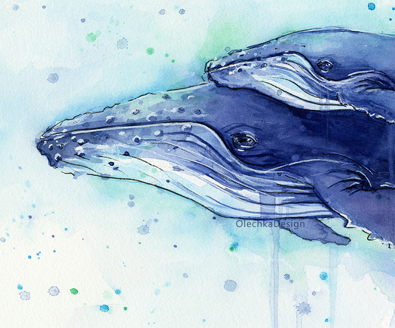 792x659 Humpback Whale Mom And Baby Watercolor Painting Olechka Design - Whale Watercolor Painting