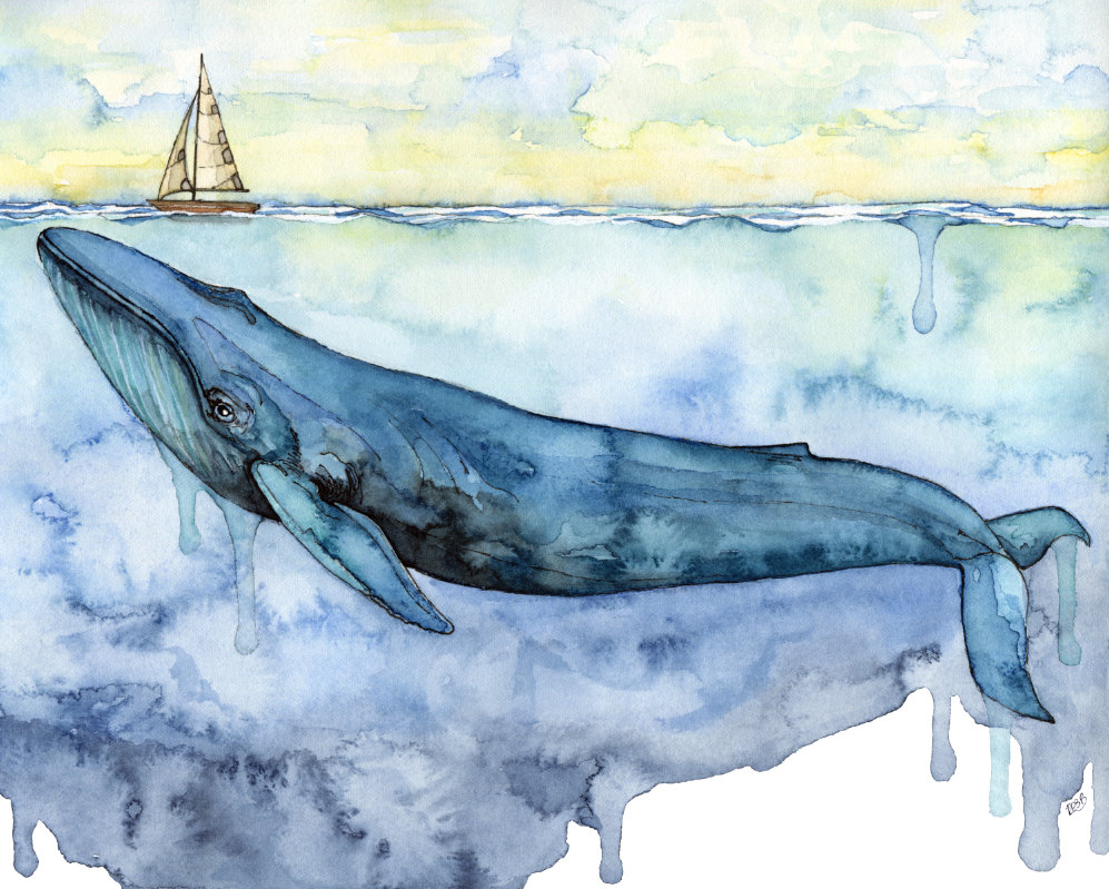 997x799 Watercolor Painting Whale Painting Whale Print Whale Art - Whale Watercolor Painting
