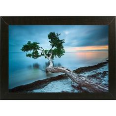 236x236 Large 60 Oil And Digital Painting On Canvas Emerald Sunset Art By - What Canvas Size For Digital Painting