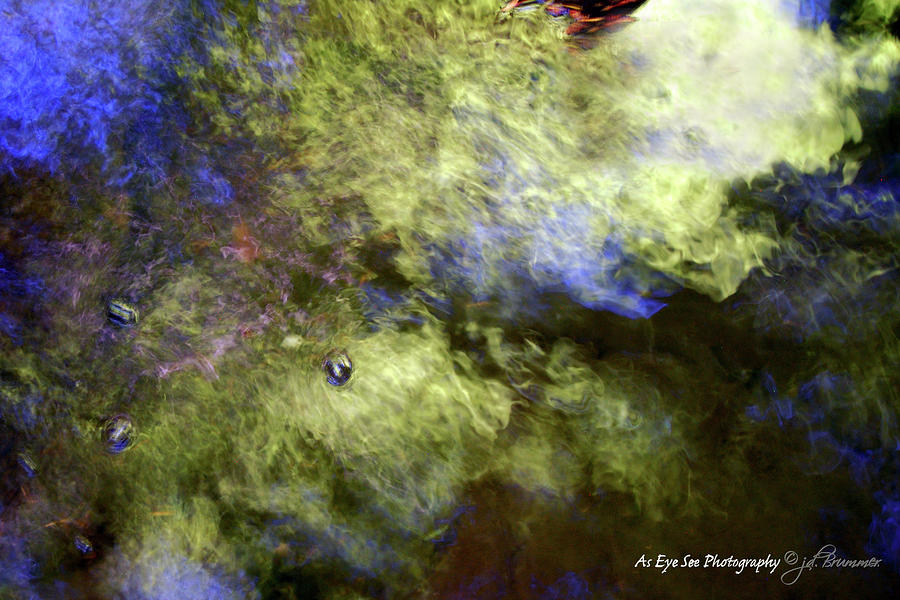 900x600 What Dreams May Come Photograph By As Eye See Photography - What Dreams May Come Purple Tree Painting