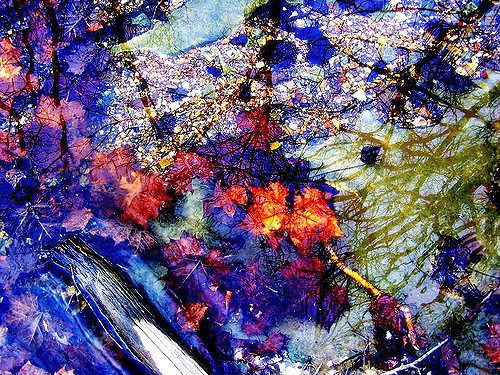 500x375 Puddle By The Creek - What Dreams May Come Purple Tree Painting