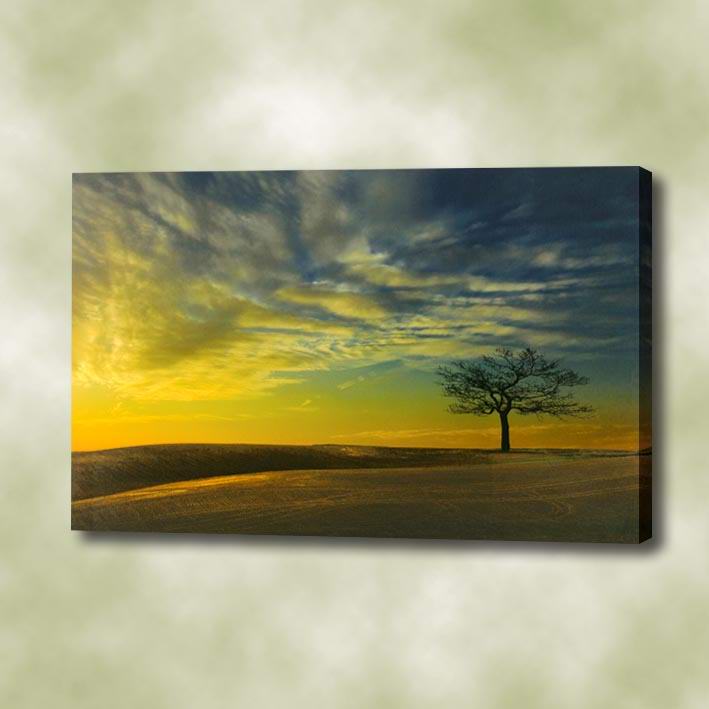 709x709 Giclee Fine Art Printing Practical Solutions - What Is A Giclee Painting