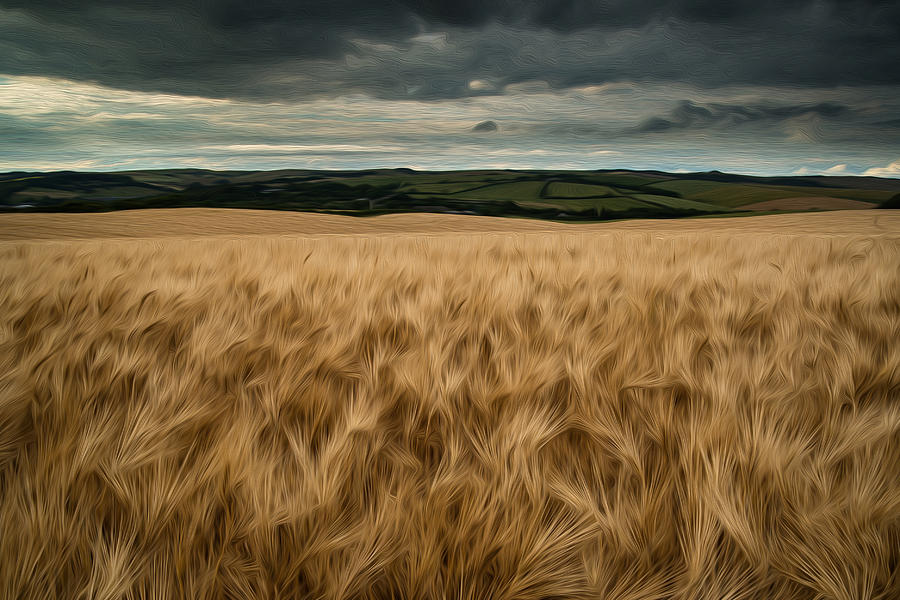 900x600 Stunning Wheat Field Landscape Digital Painting Photograph By - Wheat Field Painting