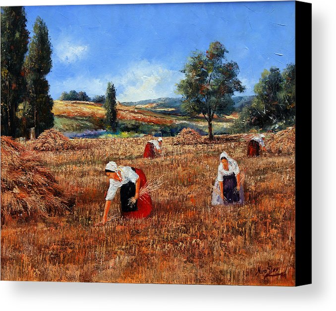 678x626 Wheat Harvest In Provence - Wheat Harvest Painting