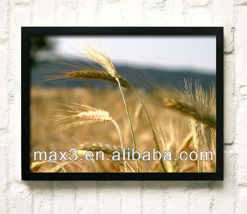 350x303 Max3 New Painting Decorative Wheat Harvest Design For Wall - Wheat Harvest Painting