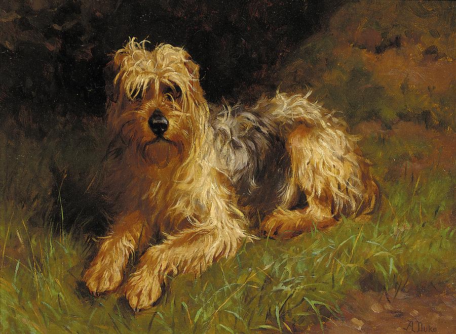 900x660 Soft Coated Wheaten Terrier Painting By Alfred Duke - Wheaten Terrier Painting