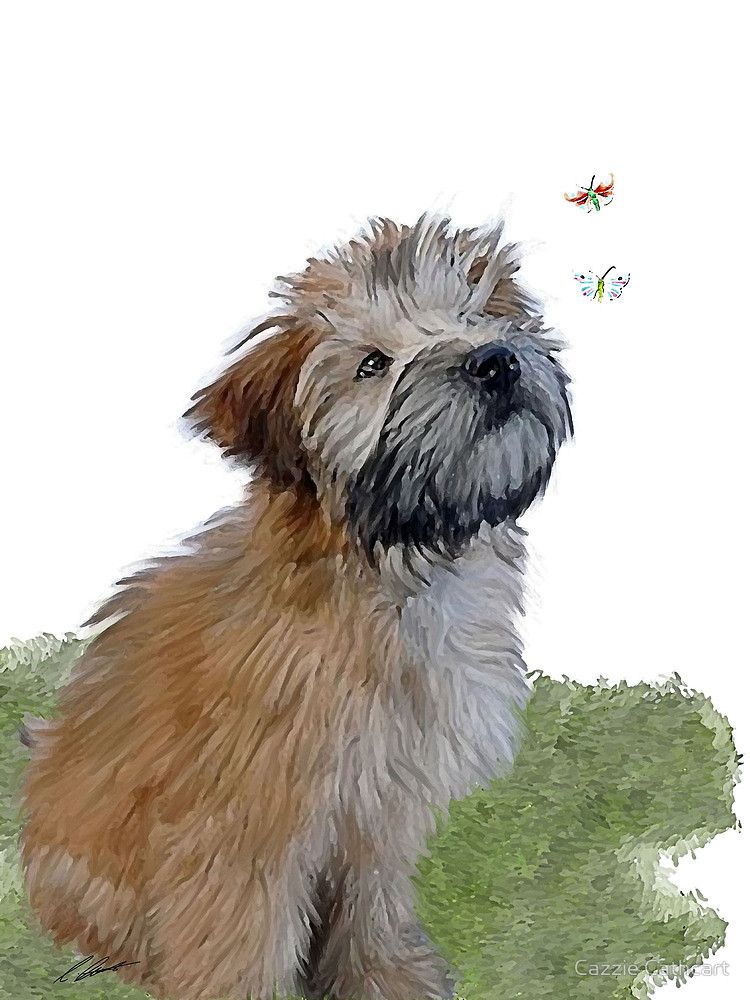 750x1000 Soft Coated Wheaten Terrier Puppy Amp Butterfly By Cazzie Cathcart - Wheaten Terrier Painting