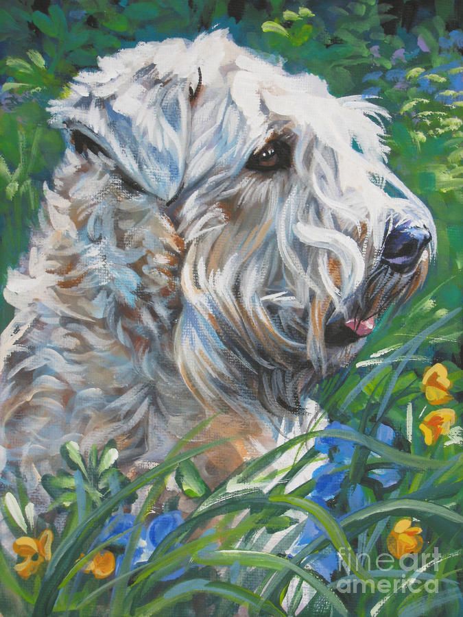 675x900 Wheaten Terrier Painting - Wheaten Terrier Painting