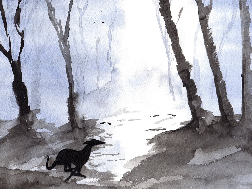 1024x768 Whippet Art Print Painting - Whippet Painting