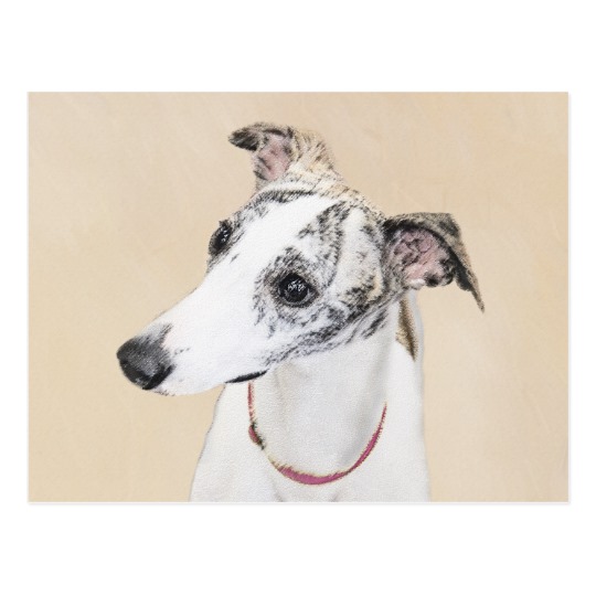 540x540 Whippet Painting - Whippet Painting