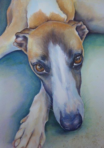425x602 Whippet Painting Pet Portrait By Diane Young Whippetsighthound - Whippet Painting