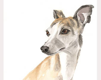 340x270 Whippet Painting Etsy - Whippet Painting