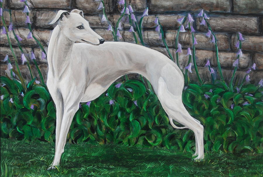 900x606 Portrait Of A Whippet Painting By Ron Myers - Whippet Painting