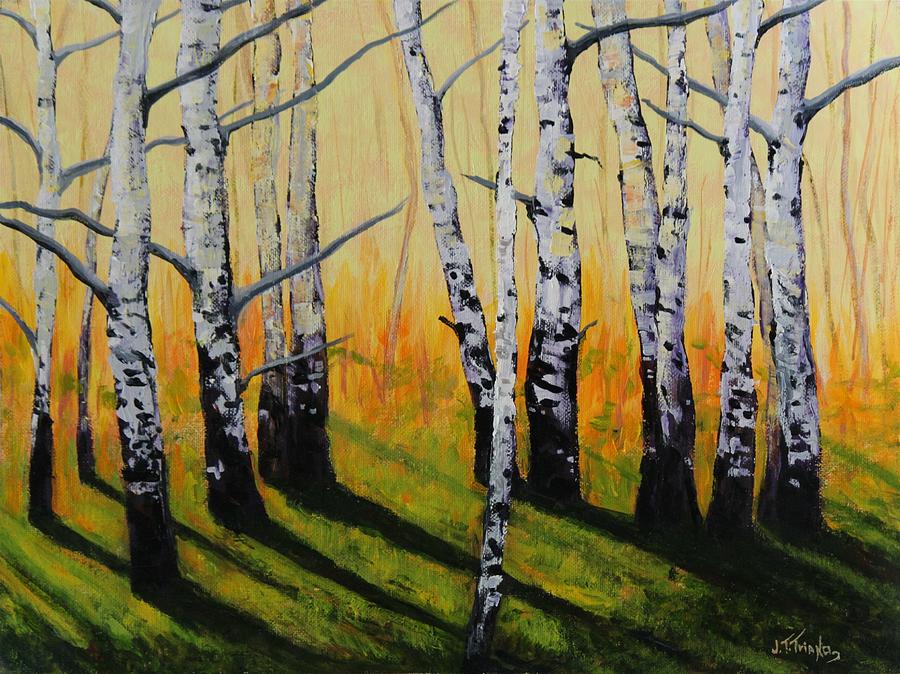 900x674 Long Shadows White Birch Painting By Joe Triano - White Birch Painting