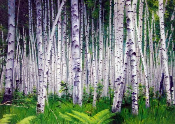 600x426 The Eurasia Art Rakuten Global Market Oil Painting White Birch - White Birch Painting