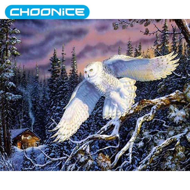 640x640 Diamond Painting Owl Cartoon White Bird Owl Presents Diy 3d - White Bird Painting