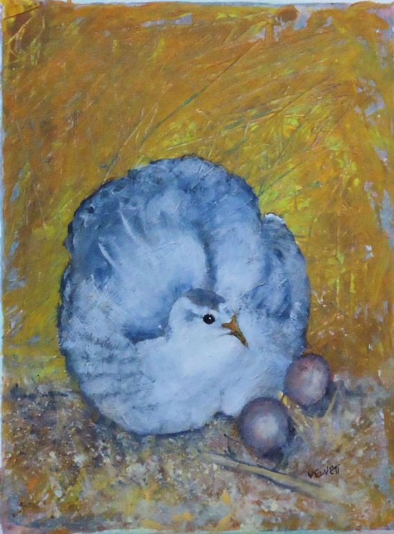 570x773 Original Fine Art Acrylic Painting Of A Blue And White Bird Near - White Bird Painting