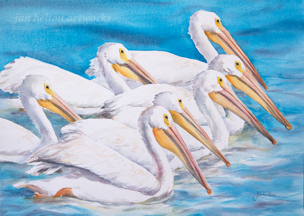 1266x900 Painting White Birds In Watercolor - White Bird Painting