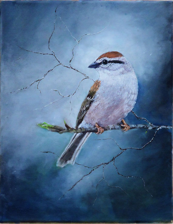 570x735 Paintings Of Birds And Wildlife Art Paintings Chipping Sparrow - White Bird Painting