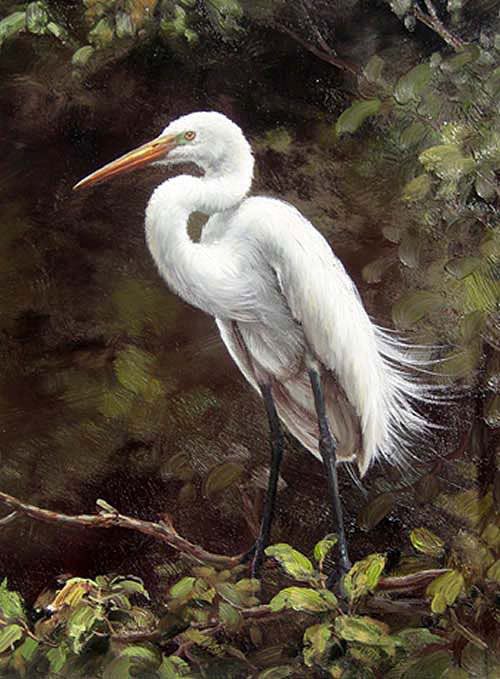 500x679 Realism Art Oil Painting Nice Animal White Bird Crane In Forest - White Bird Painting