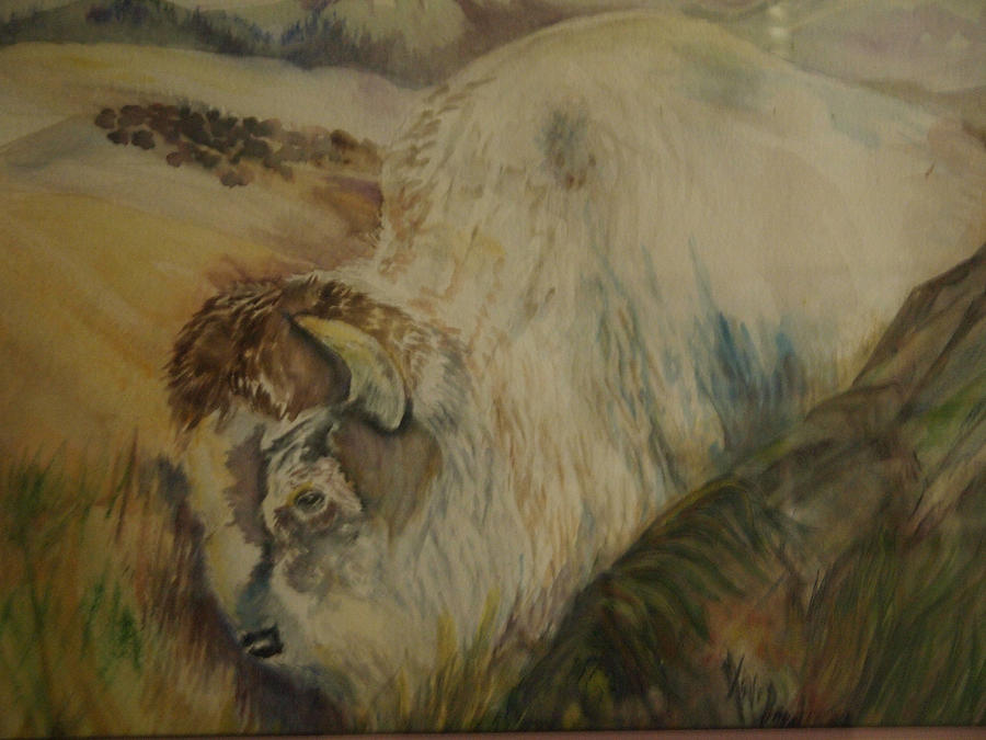 900x675 White Buffalo Painting By Mary Tevebaugh - White Buffalo Painting