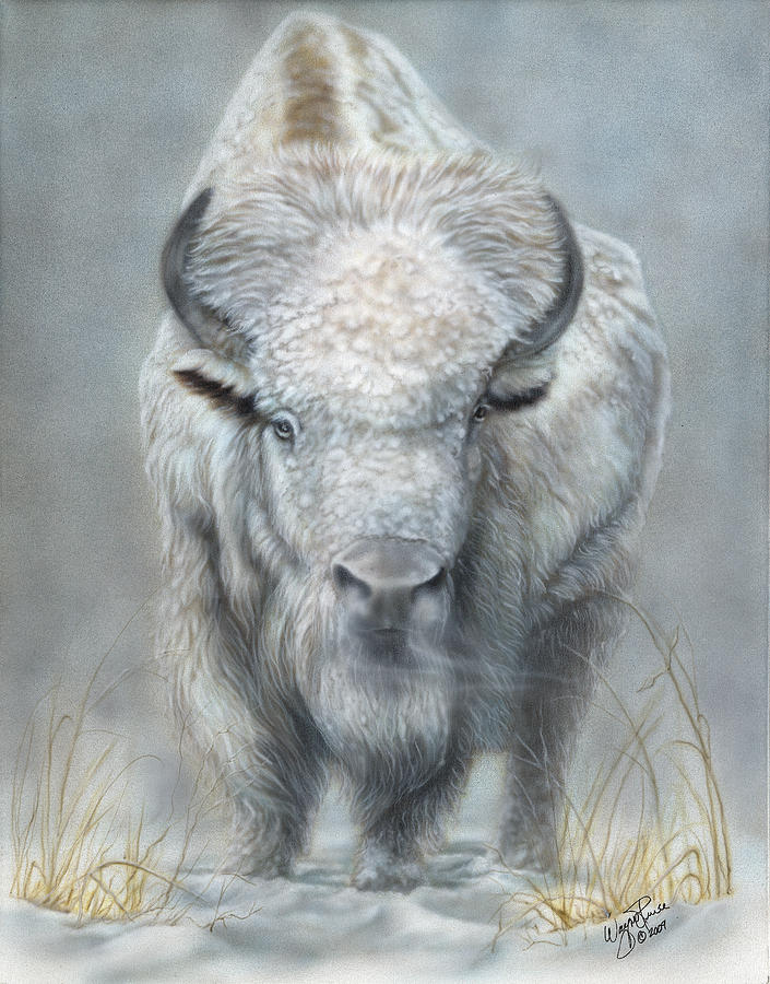 705x900 White Buffalo Painting By Wayne Pruse - White Buffalo Painting