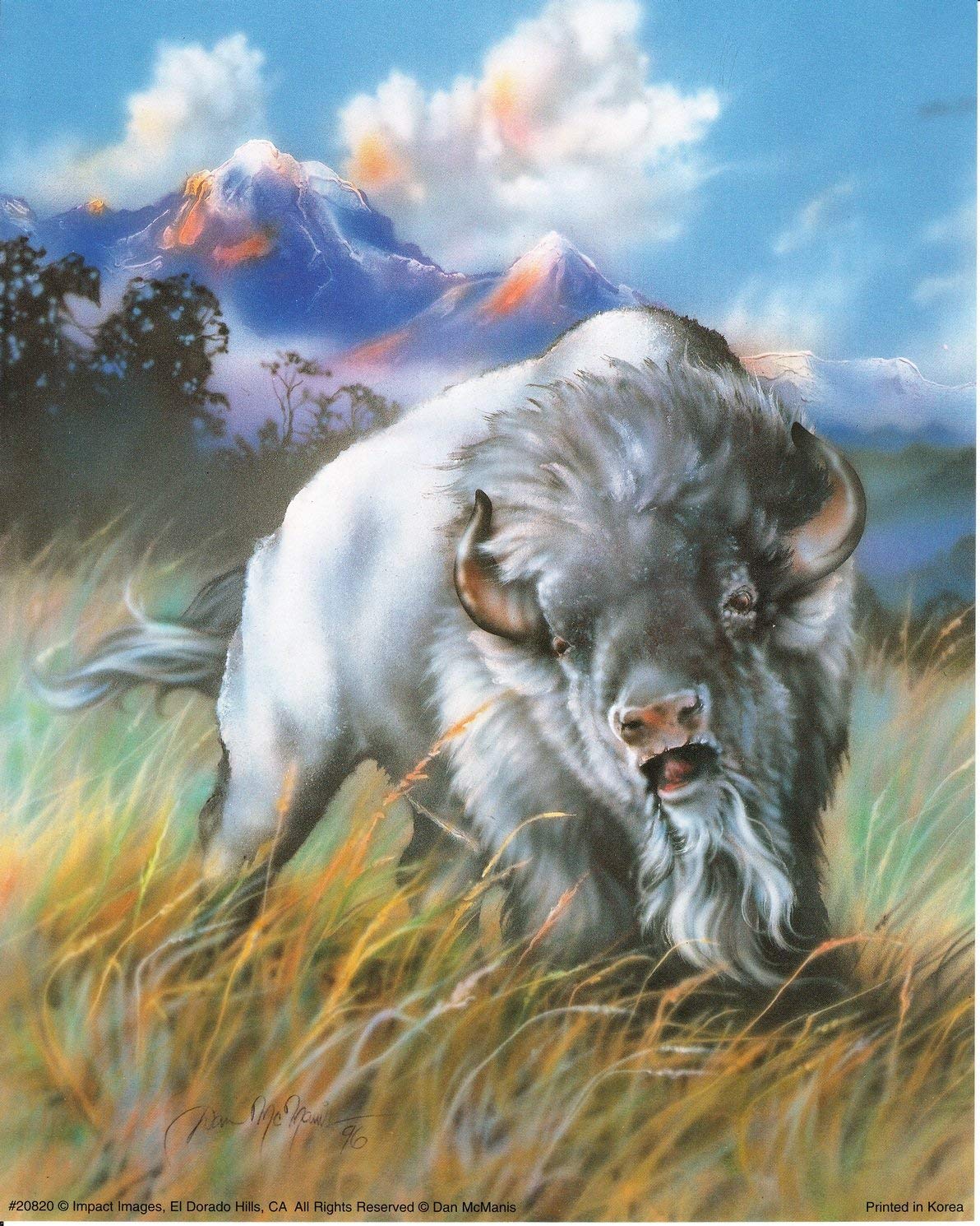 1192x1490 Impact Posters Gallery Native American Wall Decor - White Buffalo Painting