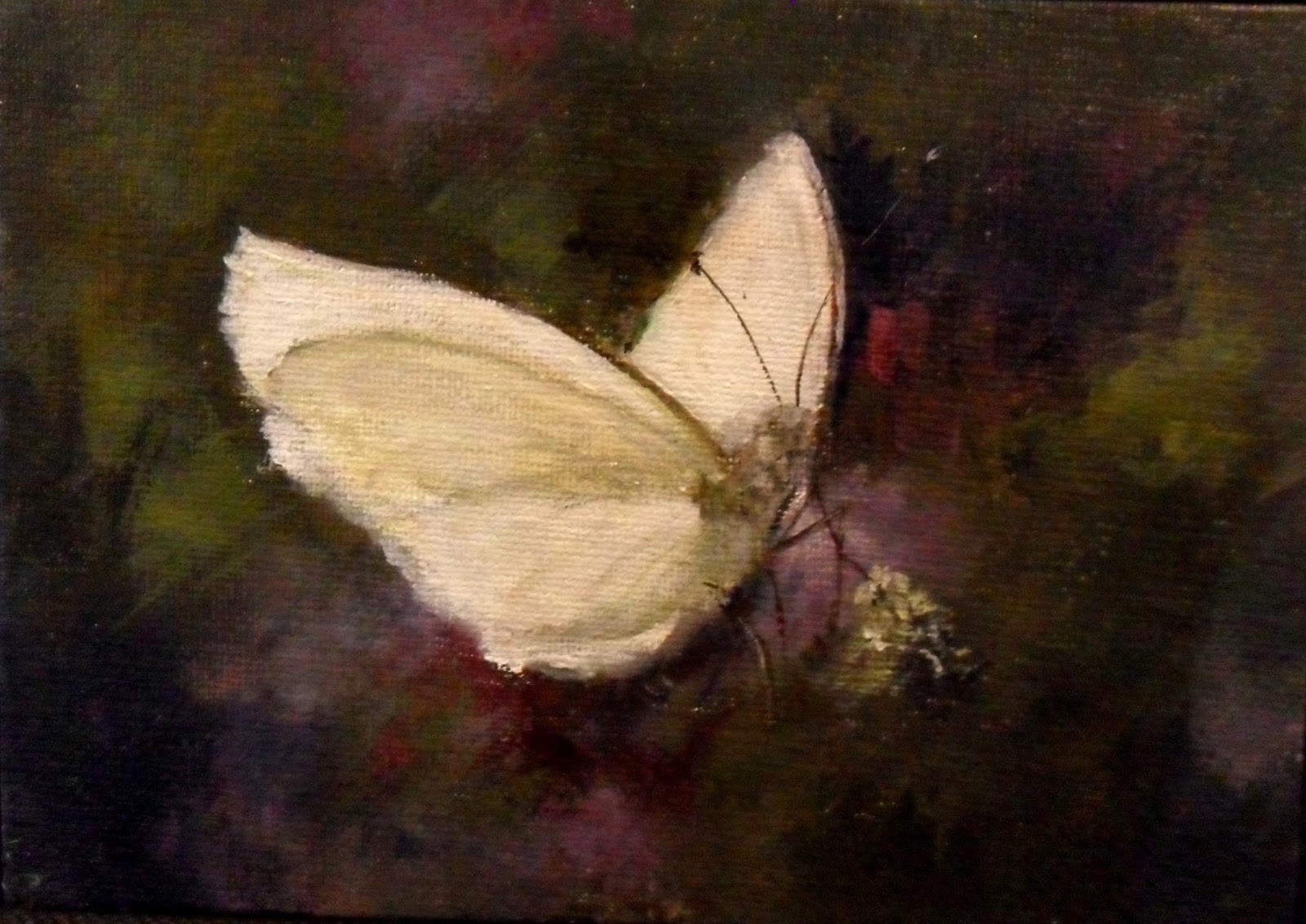 1600x1132 Moristotle Amp Co. White Butterfly, A Painting By Shirley Deanemidyett - White Butterfly Painting