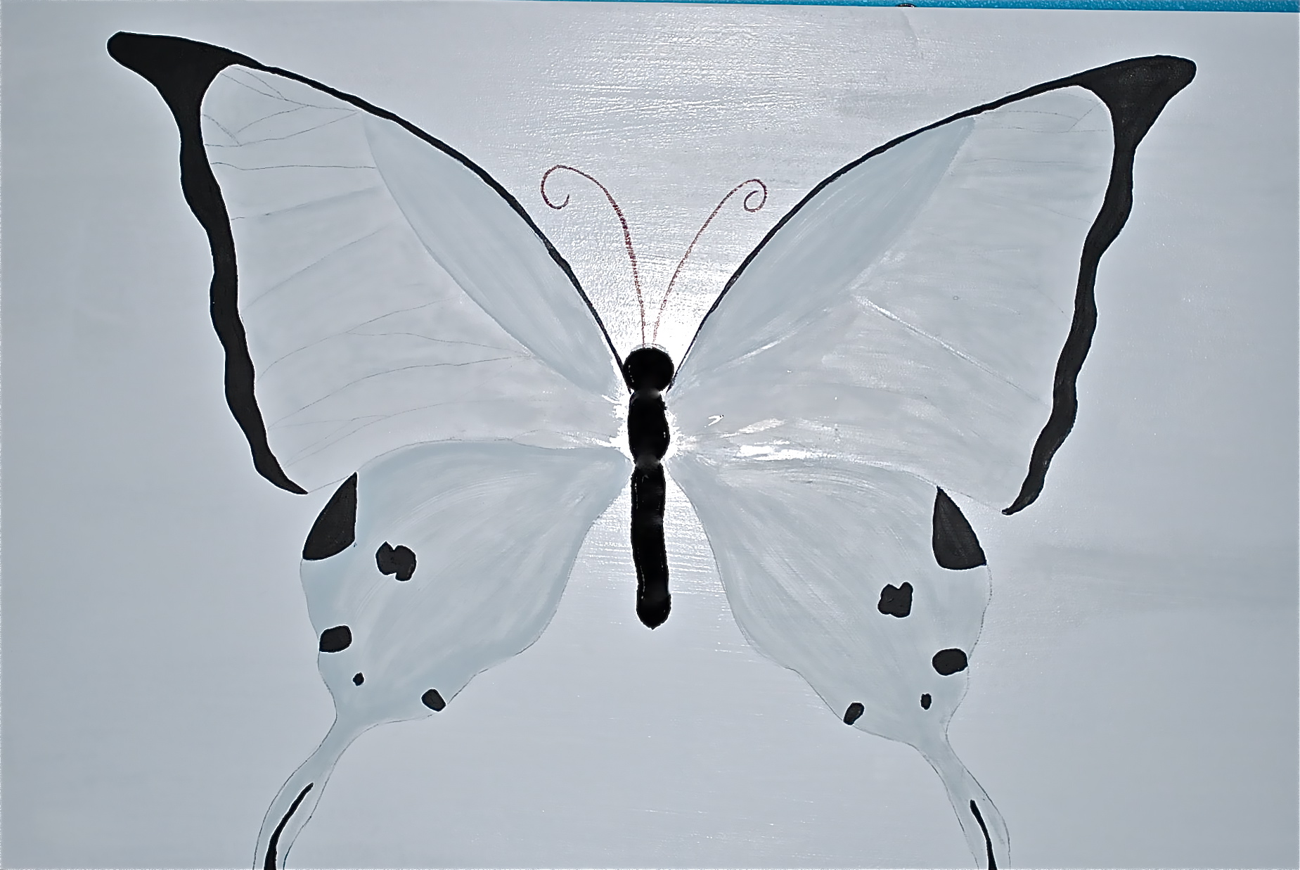 1849x1237 Quick Butterfly Art Marie Friddle - White Butterfly Painting