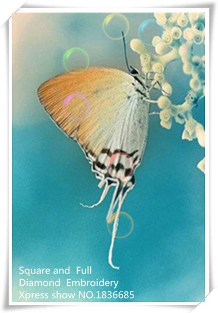 446x640 White Butterfly,diy Diamond Painting,picture Of Rhinestones - White Butterfly Painting