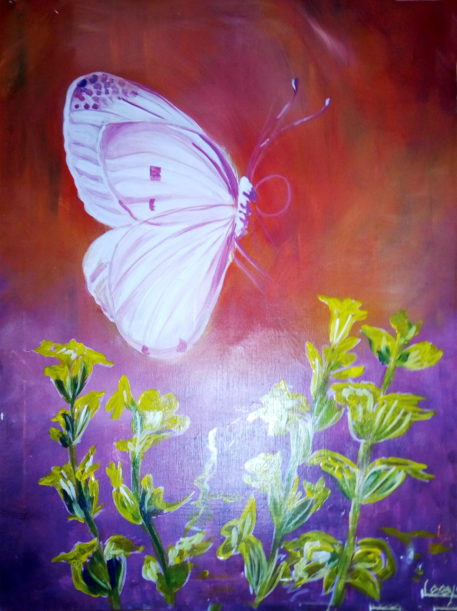 White Butterfly Painting At Explore Collection Of