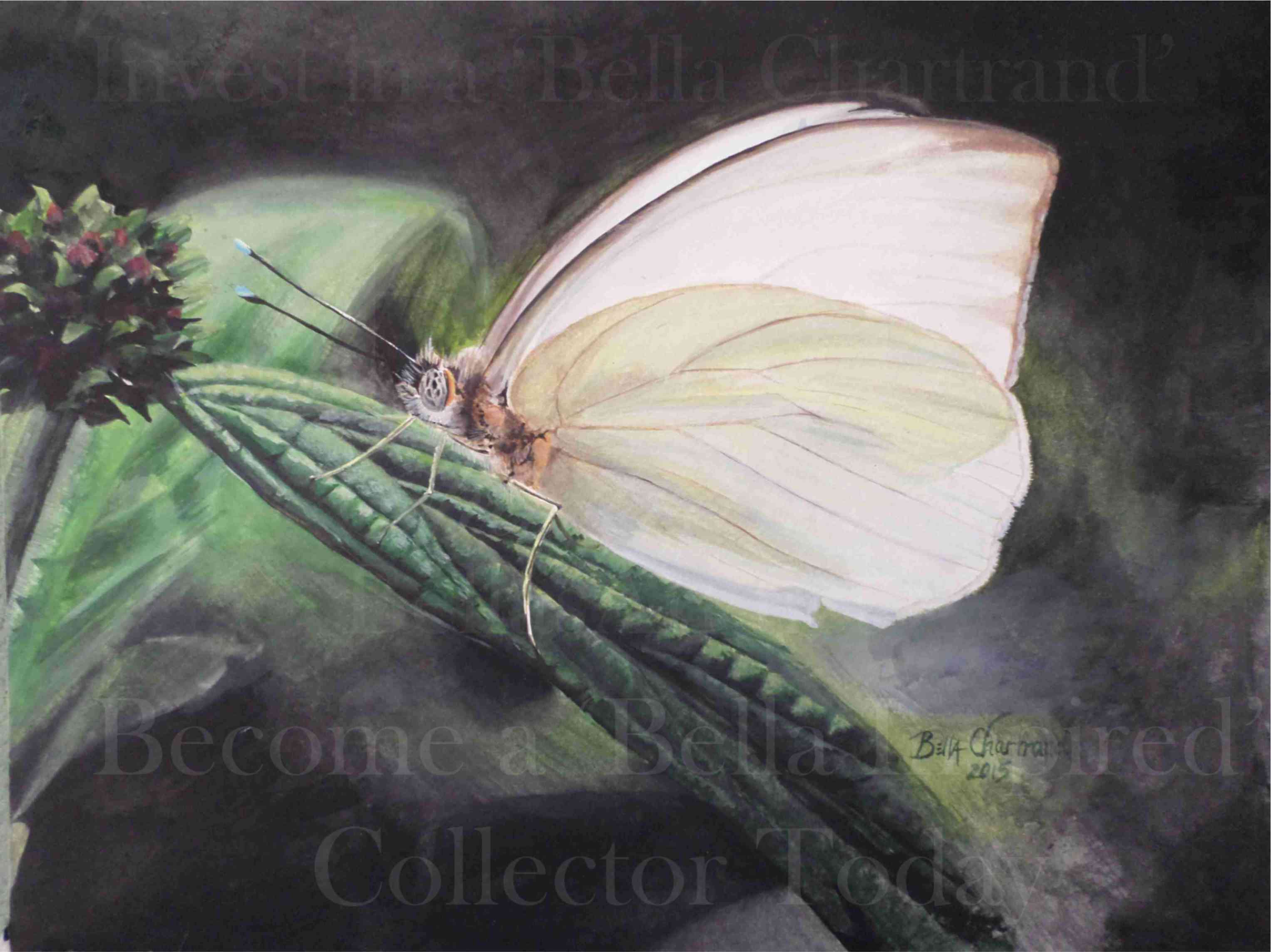 3054x2288 For Victoria Bella Chartrand - White Butterfly Painting