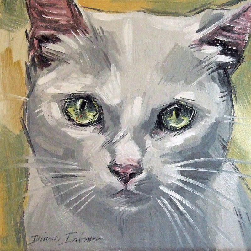800x800 Paintings From The Parlor White Cat Painting Number 3 By Diane - White Cat Painting