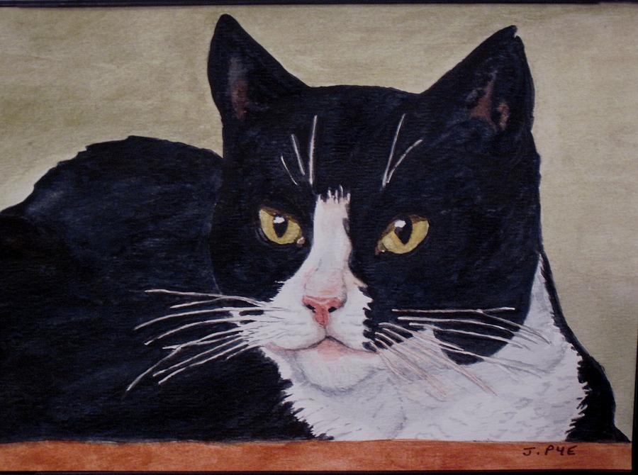 900x670 Black And White Cat Painting By Joan Pye - White Cat Painting
